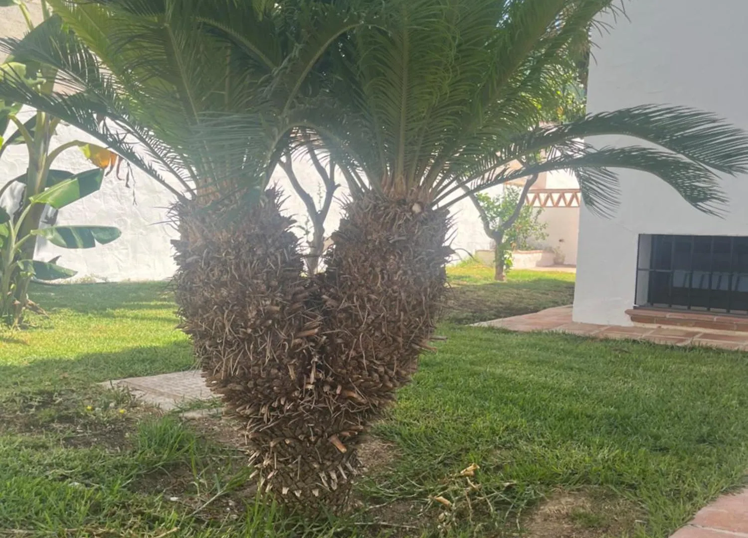 Villa Espiga Benalmadena